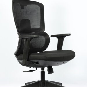 Glanza High Back Ergonomic Mesh Chair with Headrest & Adjustable Lumbar Support – Black - Image 1