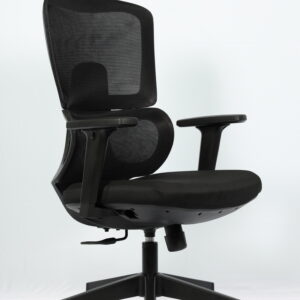 Glanza Mid Back Ergonomic Mesh Chair with Lumbar Support – Black - Image 2
